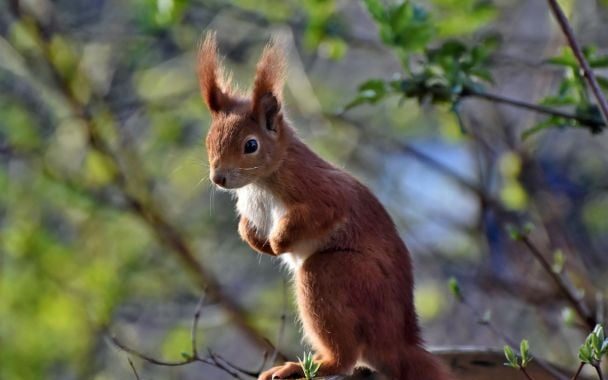 Шокуюча правда про… Літо 2026: чи буде в Україні екстремальна спека